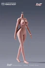 ANT N306 1:12 Seamless Female Body Suntan Large Breast Plump Hip 6"Action Figure