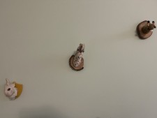 Needle Felted Animal Trophy Wall Art