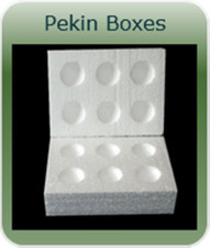 135 X 6 HOLE PEKIN POLYSTYRENE EGG BOXES HATCHING/INCUBATION CHICKEN