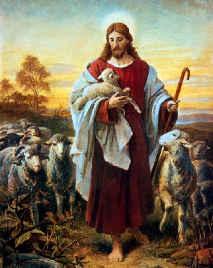 The good sale shepherd