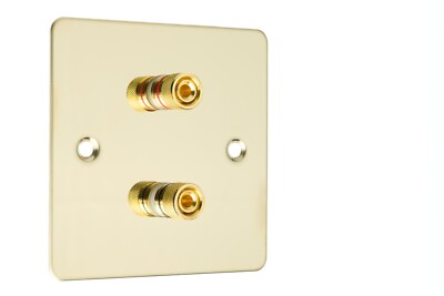 Av Wall Plate 2-Post Audio Speaker Wall Plate - Slimline White