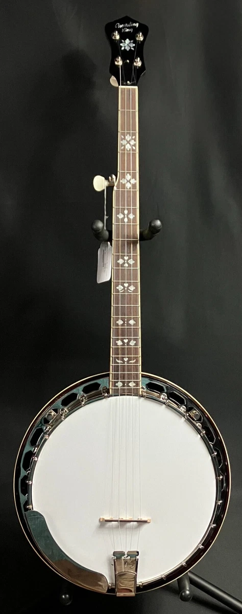 Recording King Closed Back Banjos for sale | eBay