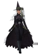 Gothic Witch Adult Black/Green Costume California Costumes