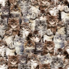 Feline Drive Fabric ONE OF A KIND Kittens Windham - Fat Quarter 18"x22" FQ