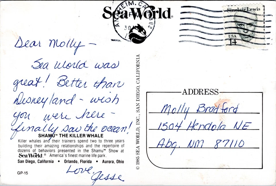 Killer Whales Orcas and Trainers Shamu Show, Sea World - 1985 4x6 postal cromada Foto 2 de 2