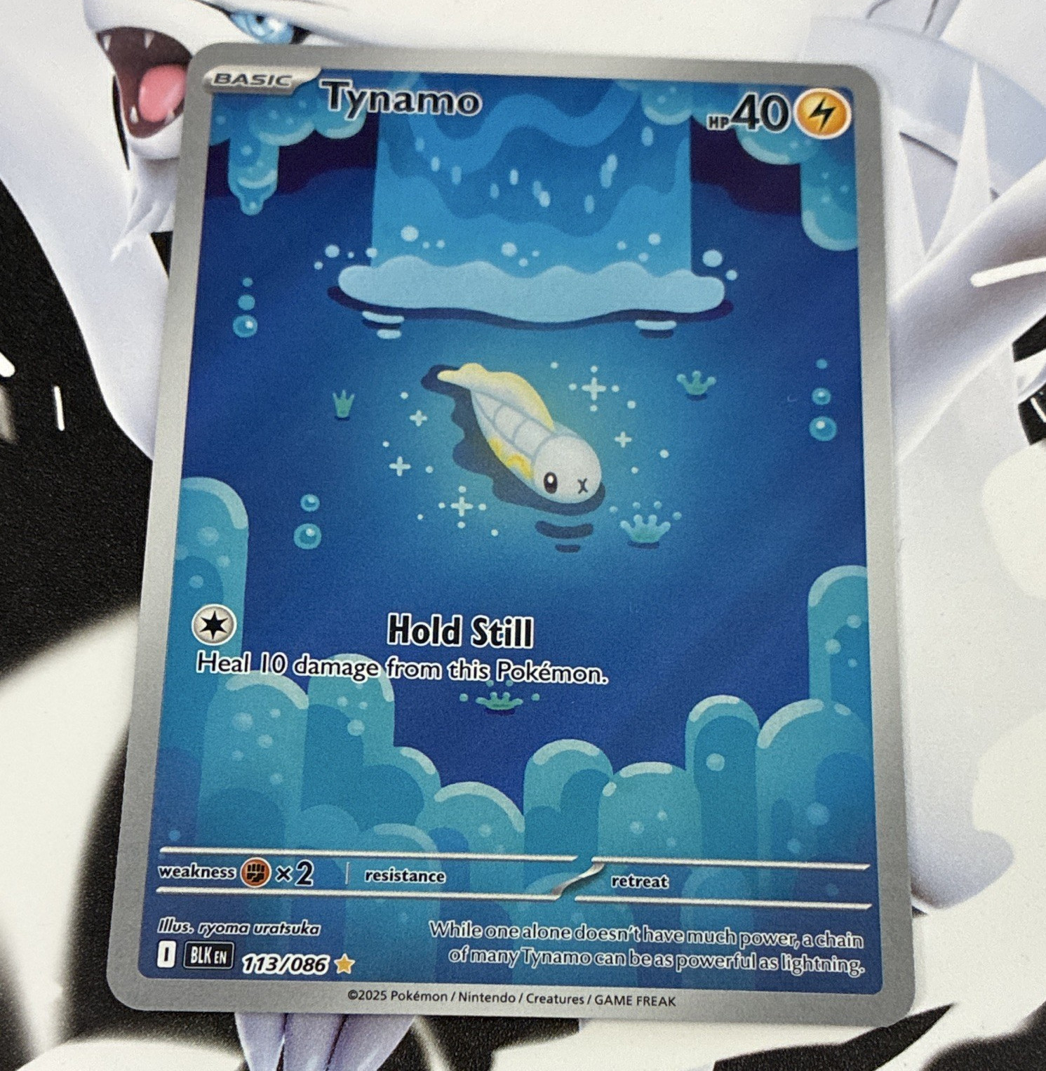 Pokémon TCG SV Black Bolt Tynamo Illustration Rare 113/086 Holo 40HP