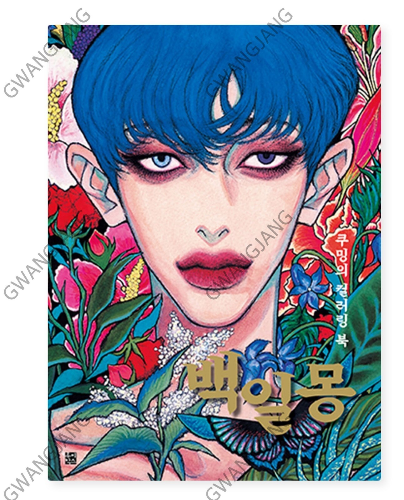 Daydream Korean Coloring Book 백일몽 Kpop Famous Hot Legend Hobby