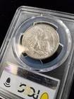 GEM BU 1946-D Walking Liberty Half Dollar PCGS MS65 Beautiful Rev Tape Toning