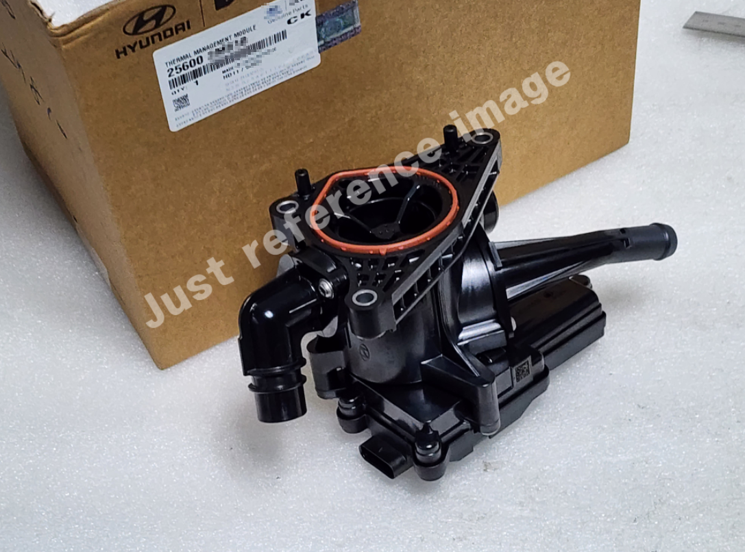 Genuine 256002M820 INTEGRATED THERMAL-MANAGEMENT MODULE for Kia