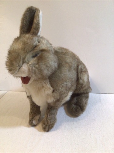 Folkmanis Títere De Mano Cottontail Rabbit – 15 Pulgadas, Súper Suave Y Realista, Con Boca Móvil Títere De Conejo