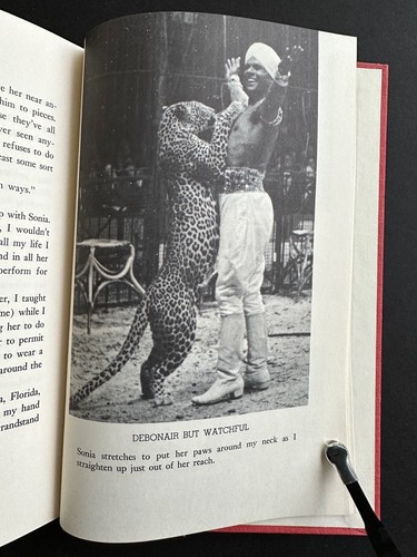 Wild Animal Man, by Damoo Dhotre - 1961 - 1st Ed, 2nd Vintage Hardcover Book DJ - Picture 13 of 14