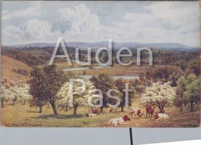 Vintage J Salmon Postkarte Das Tal von Evesham A. R. Quinton Nr. 1359