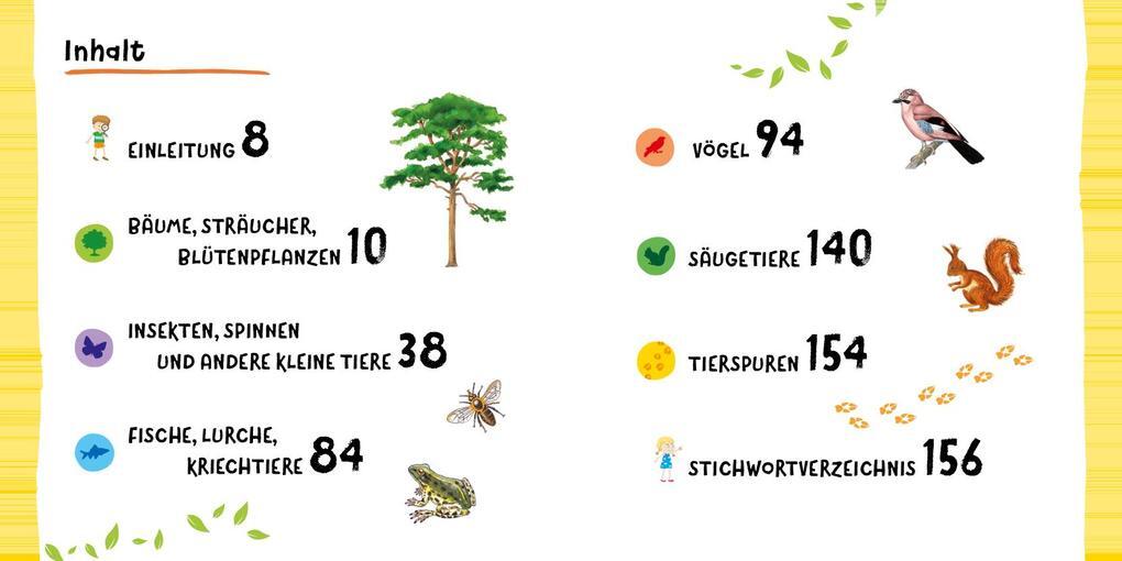 Thumbnail - Tiere Und Pflanzen Entdecken Mit 38 Vogelstimmen Als Qr-codes: