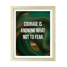 Courage is knowing what not to fear - Plato, Framed Print