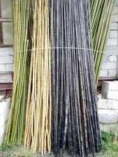 BAMBOO CANES BAMBOO HEIGHT FROM 1 TO 2 METERS DIAMETER FROM 20 TO 60CM...