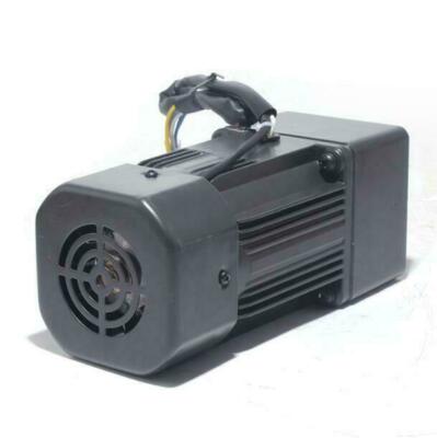 Motore Elettrico AC 220V 120W Con Riduttore E Regolatore Di Velocità – Rapporto 1:10, 125 Giri/min