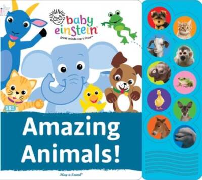 Amazing Animals: Play-A-Sound (Disney Baby Einstein) - Hardcover - VERY GOOD