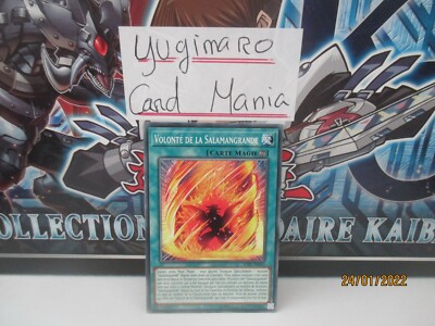 Carte YU GI OH VOLONTE DE LA SALAMANGRANDE SOFU-FR053 