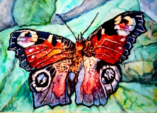 ACEO Peacock Butterfly Insects Original ATC Acrylic Painting