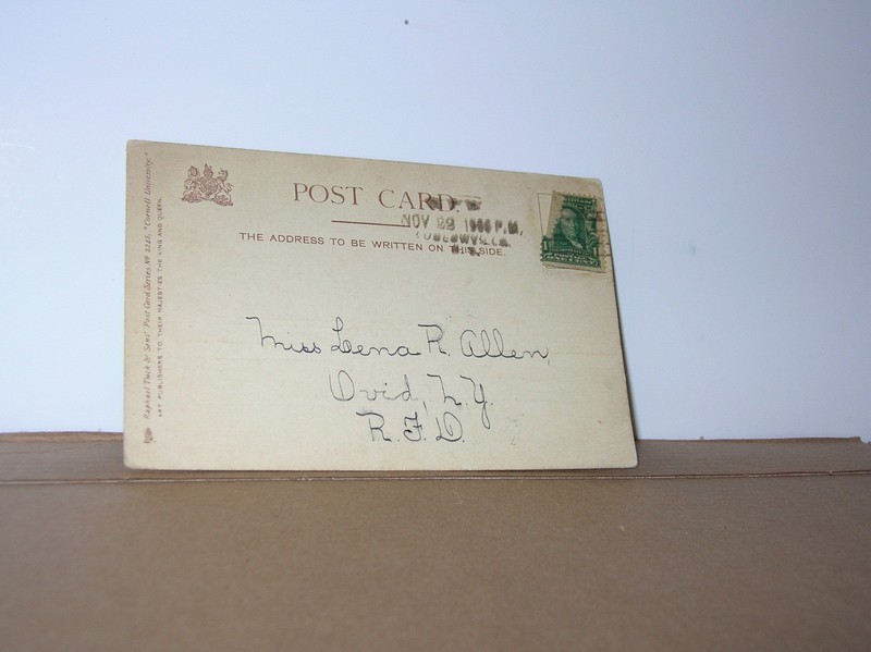 1906 ANTIQUE POSTCARD MRS. LENA ALLEN OVID NY SENECA COUNTY
