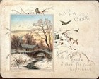 Wirths Brothers N 335 1886 New Year Postcard — photo 1