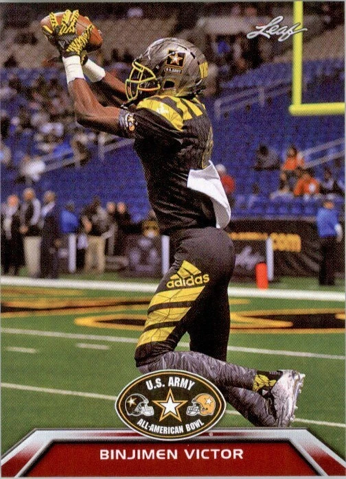 American Flag Pink Prismatic