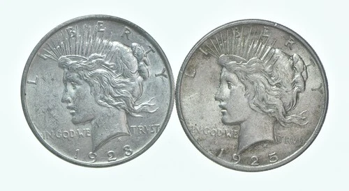1923-D & 1925 Peace Silver Dollar $1 Bullion Collection Lot *108