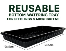 Seedling Starter & Microgreen Watering Tray – Heavy-Duty, Reusable Plastic