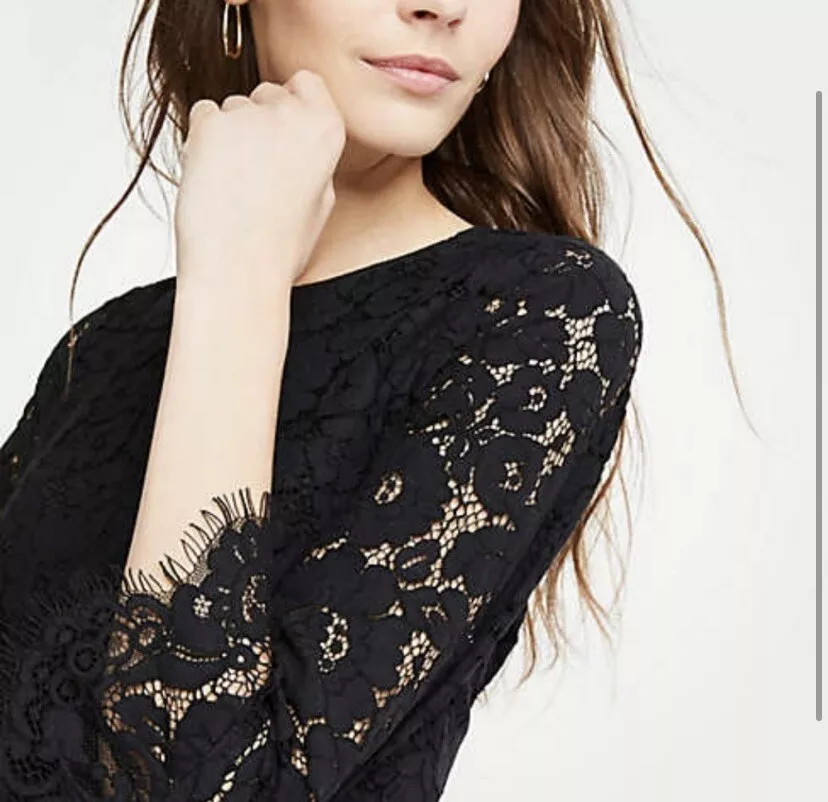 Lace fluted top sleeve flare dress