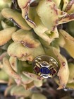 Vintage IOF Independent Order Of Foresters Pin — photo 8