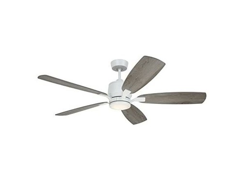 Ion Eco LED Ceiling Fan with DC Motor 