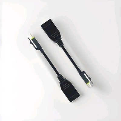 Set of 2 Display Port DP Female to mini Display Port DP Male Adapter PNY 8582V3