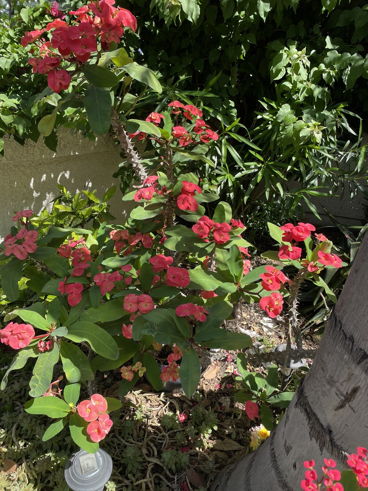 Bild 7 von 19