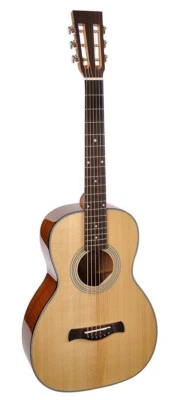Guitare Parlor Richwood Master Series P-40 massive - Photo 1/4