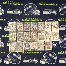 Panini 2024/25 Indianapolis Colts NFL Card Lot 20 Cards Warren Stewart Moss Paye