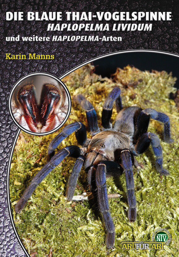Thumbnail - Karin Manns / Die Blaue Thai-vogelspinne