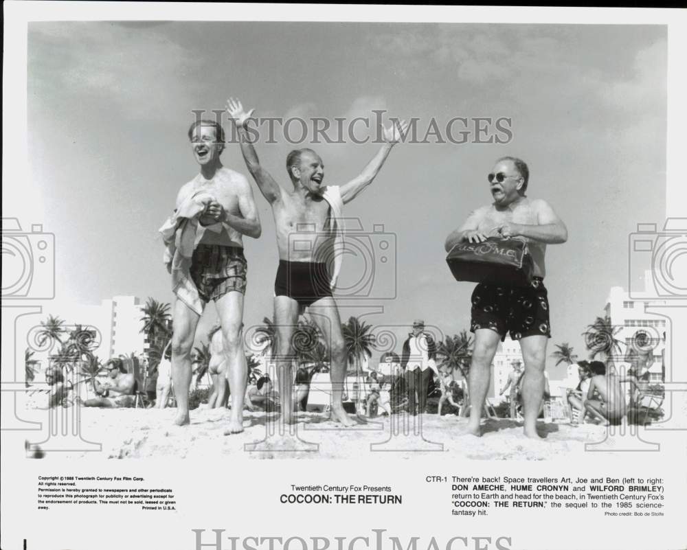1988 Press Photo 