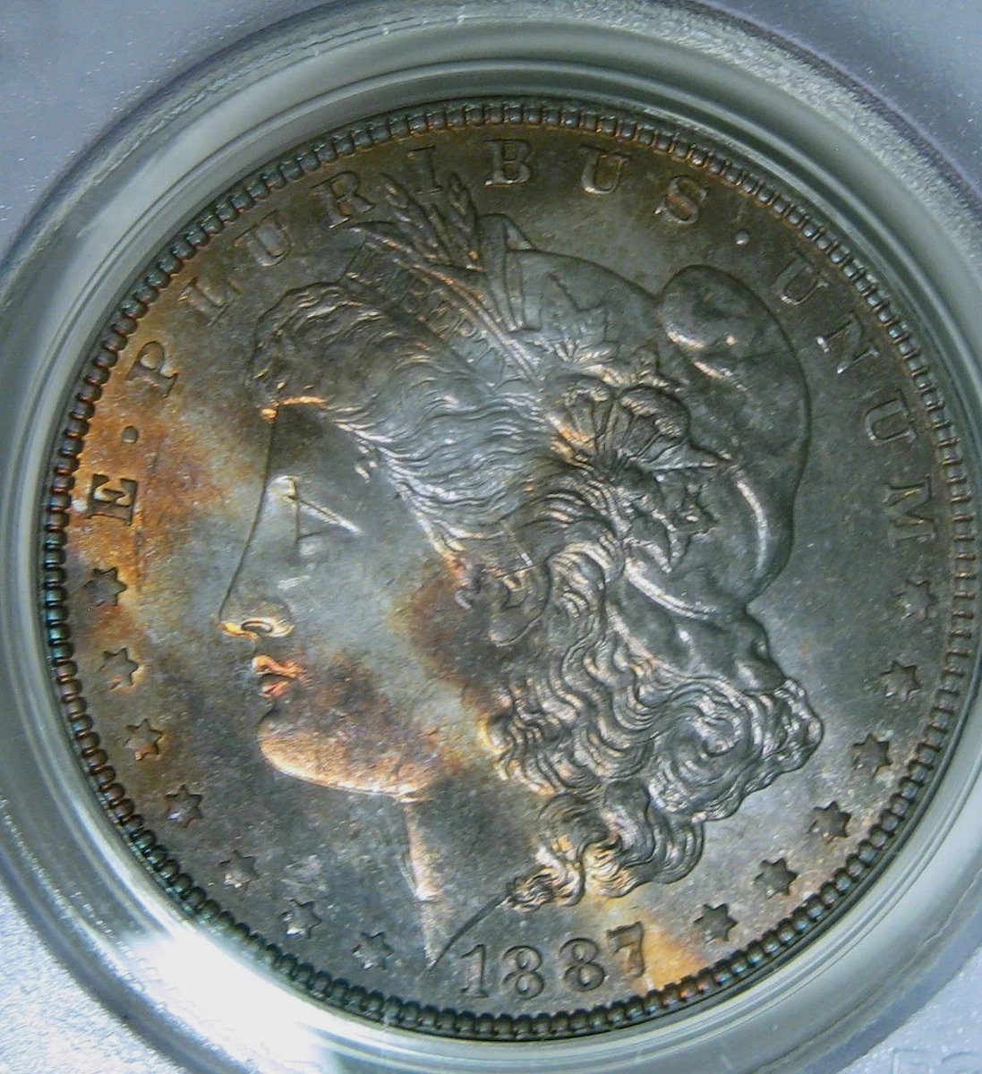 MS 64 Graded 1887 Year Morgan US Dollars (1878-1921) for sale | eBay