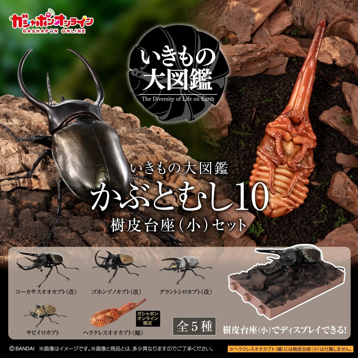 【レトロ】THE BEETLES OF THE WORLD 3Dカード The Diversity of Life on Earth Beetle 10 Figure w/ Stand Bandai