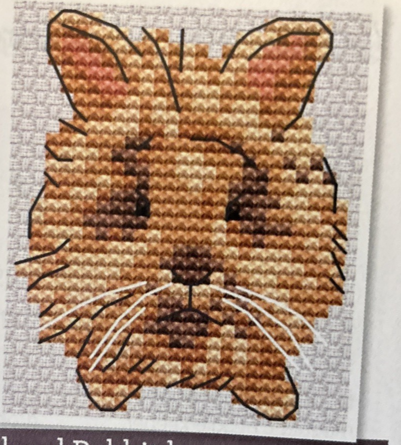 Picture 11 of 21