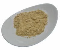 (116 Eur/Kg) - Sena-Premium Gemahlene Senfsaat Gelb (50G)
