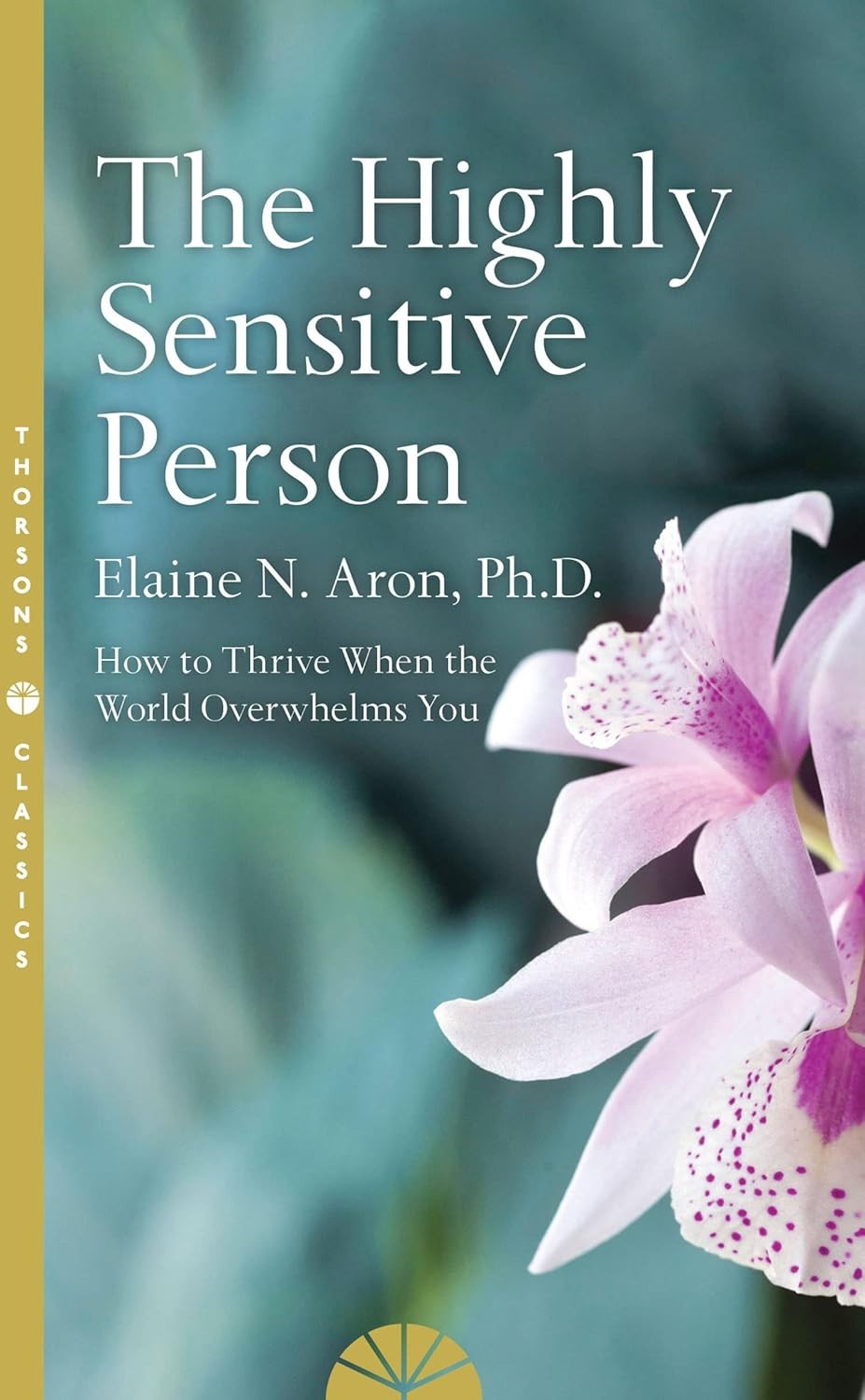 The Highly Sensitive Person by Elaine N. Aron 9780008244309