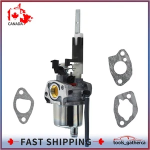 Snow Carburateur de soufflerie 921317, 921319, 921322 Pour Ariens 20001171 LCT 254cc