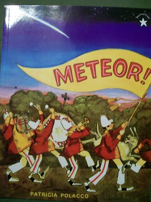 Meteor! by Patricia Polacco (1996, Paperback)