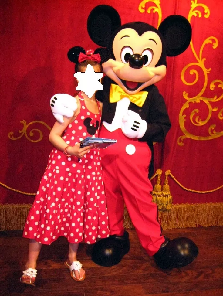 Custom minnie mouse best sale outfits