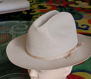 Stetson Sovereign | eBay