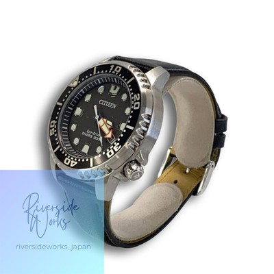 CITIZEN E168-S126126 Eco-Drive プロマスター CITIZEN E168-S126126 Eco-Drive 137127 for sale online | eBay