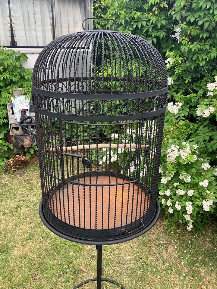 Jaula para pájaros victoriana vintage antigua de hierro forjado Foto 2 de 4