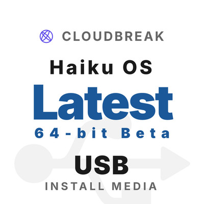 Haiku OS Latest 64-bit Beta Bootable/Live Install USB NEW