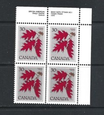 CANADA - 1977 RED OAK UPPER RIGHT PLATE BLOCK - SCOTT 720 - MNH